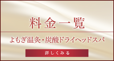 よもぎ温灸・炭酸ドライヘッドスパ　料金一覧